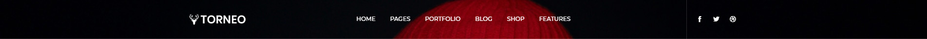dark-with-border-header-style