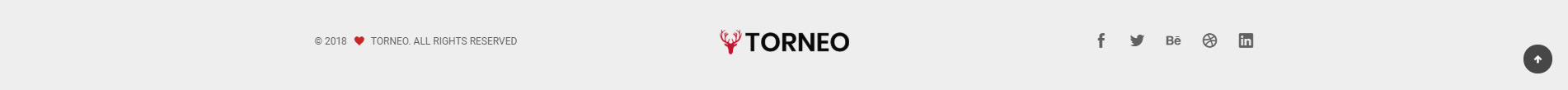 light-corporate-footer-style