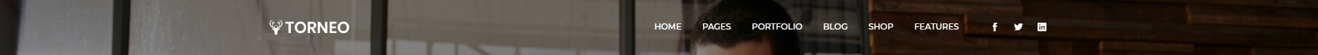 noborder-header-style